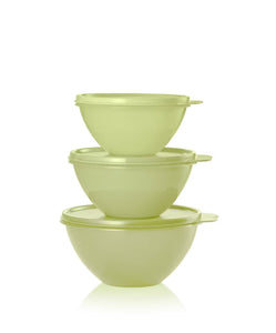 SET LUNCH BOX TUPPERWARE CELERY PREVENTA