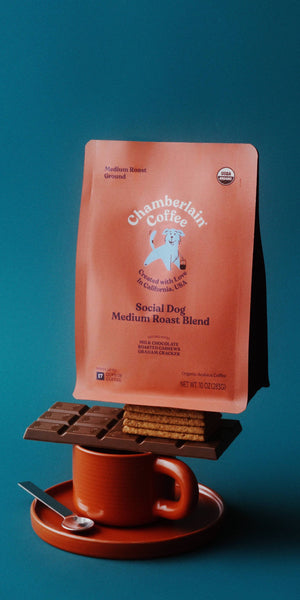 CHAMBERLAIN COFFEE MEDIUM ROAST PREVENTA