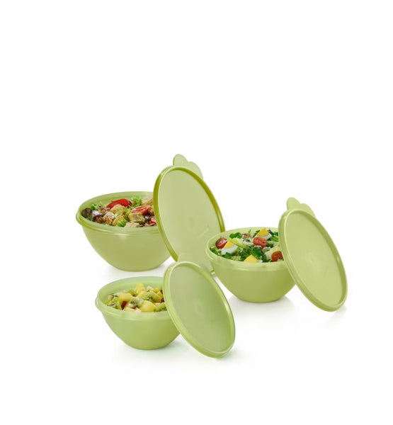 SET LUNCH BOX TUPPERWARE CELERY PREVENTA